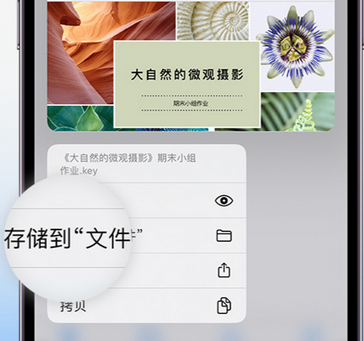 忻府apple维修中心分享iPhone文件应用中存储和找到下载文件