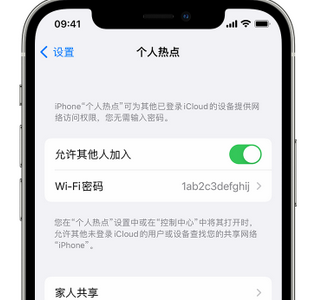 忻府apple服务站点分享iPhone上个人热点丢失了怎么办 