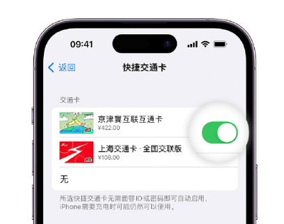 忻府apple维修点分享iPhone上更换Apple Pay快捷交通卡手绘卡面 