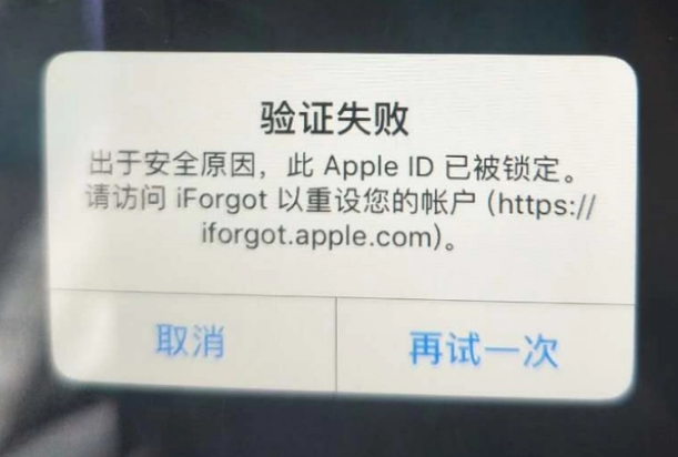 忻府iPhone维修分享iPhone上正常登录或使用AppleID怎么办 