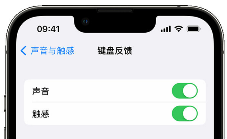 忻府苹果手机维修分享iPhone 14触感键盘使用方法 