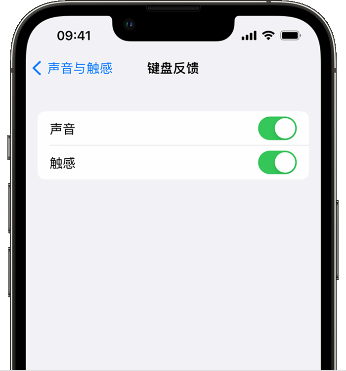 忻府苹果14维修店分享如何在 iPhone 14 机型中使用触感键盘 