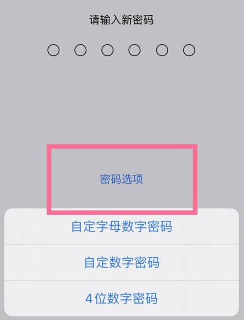 忻府苹果14维修分享iPhone 14plus设置密码的方法 