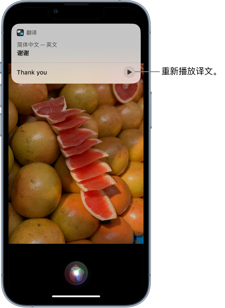 忻府苹果14维修分享 iPhone 14 机型中使用 Siri：了解 Siri 能帮你做什么 