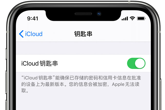 忻府苹果手机维修分享在 iPhone 上开启 iCloud 钥匙串之后会储存哪些信息 