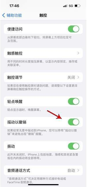 忻府苹果手机维修分享iPhone手机如何设置摇一摇删除文字 