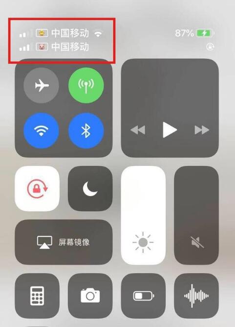 忻府苹果手机维修分享为 iPhone 12 双卡设置标签 